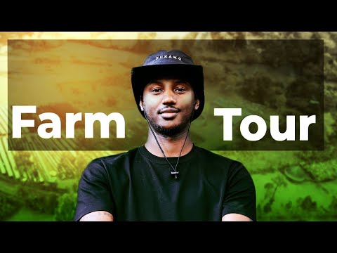 Our Farm Tour - Sidama Ethiopia