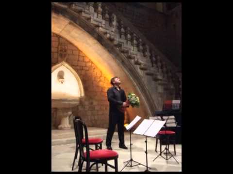 Kresimir Spicer - Die Nacht Op.10.N°3 (Richard Strauss)