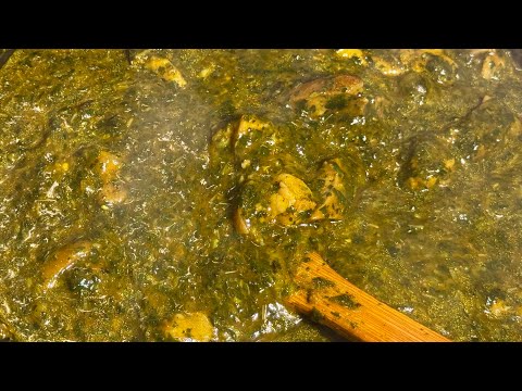 Taste Sierra Leone: Easy Krain Krain Sauce Recipe!