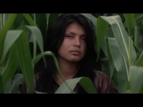 Pedro Neves Marques and Zahy Quajajara - YWY Visions