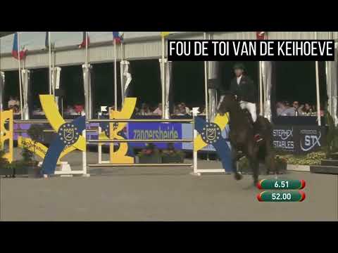 Fou de toi van de Keihoeve - Belgian Champion - Gilles Dunon