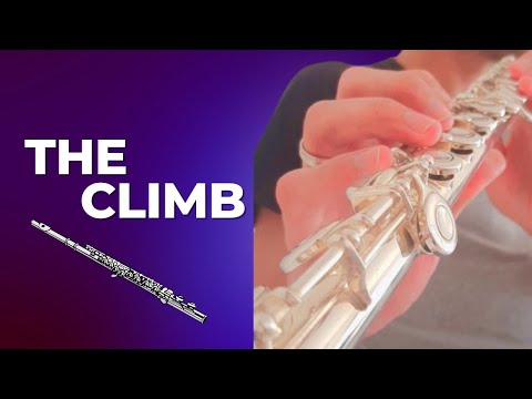The Climb (Miley Cyrus) - Flauta Transversal