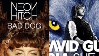 David Guetta ft Sia vs Neon Hitch - She Dog (Falling to Bad