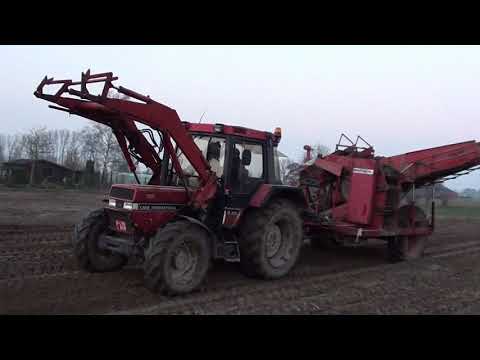 Landb. Verhoest - Ardooie - Case / International 845 XL Plus - International 453 - Verstraete