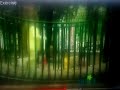 EImo World Exercise Kipper Tiger Tales Pools Parks And Picnics Trailer US HQ