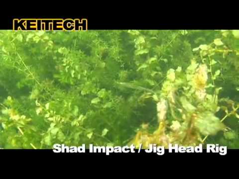 Isca Shad Impact 3" Keitech