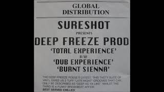 Deep Freeze Productions - Dub Experience