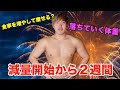 【身体測定】減量から2週間後!どんどん痩せていく!?