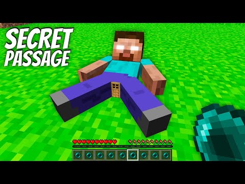 I found a SECRET BASE INSIDE the HEROBRINE in Minecraft ! TINY DOOR in GIRL !