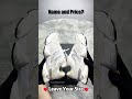 2024 Real VS Fake New Balance NB 9060 Sneakers Unboxing Checking