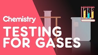Testing for Hydrogen, Oxygen, Carbon Dioxide, Ammonia and Chlorine | Tests | Chemistry | FuseSchool