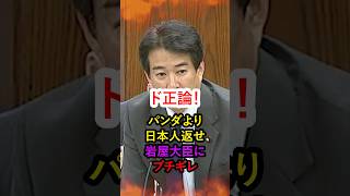 【ド正論！】日本人よりパンダ⁉とんでも外交に柳ヶ瀬議員ブチギレ‼