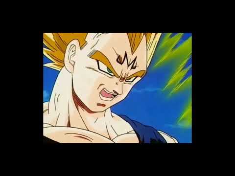 Goku VS Majin Vegeta!