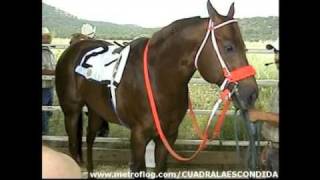 EL CORRIDO DEL TARAHUMARA