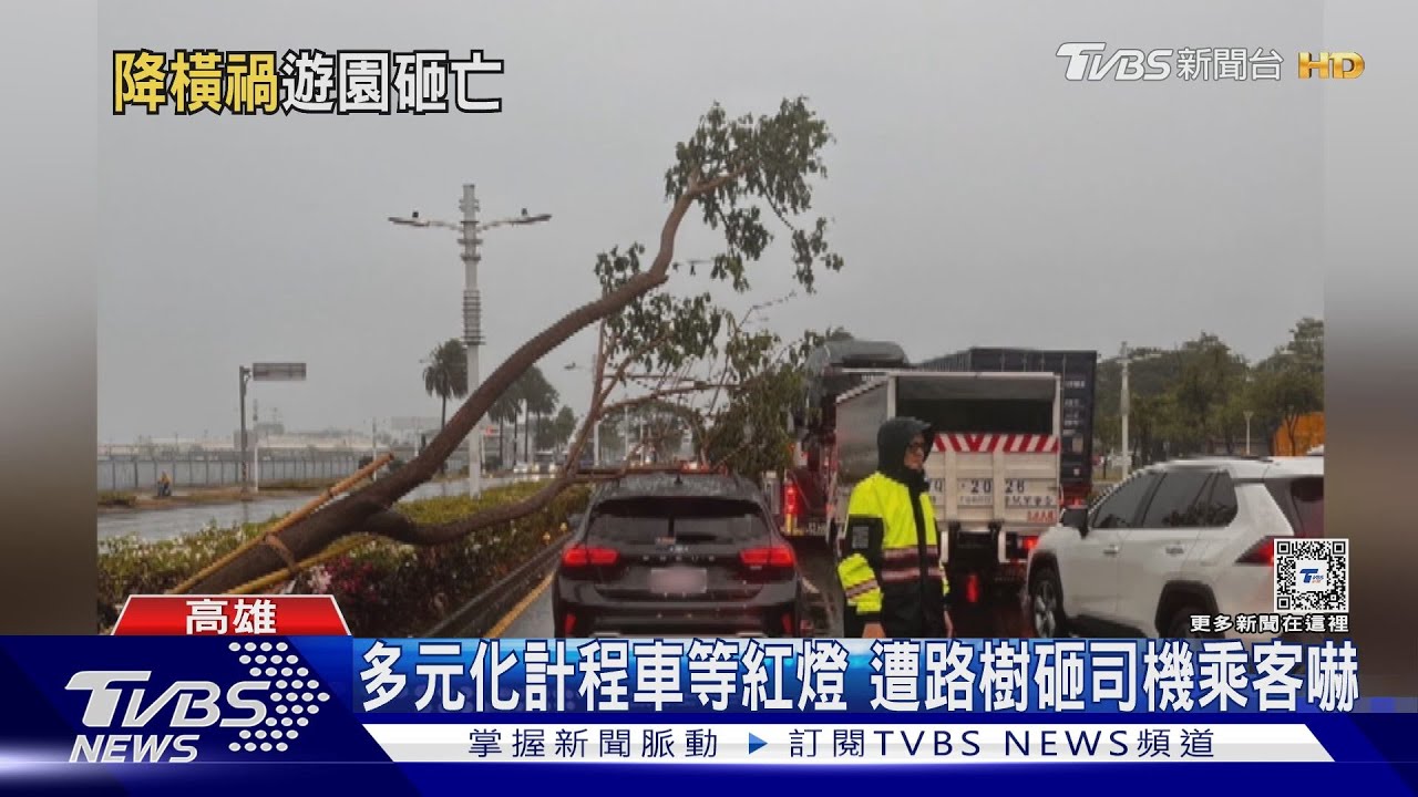 大雨狂炸!高雄澄清湖路樹砸死遊客 中午起臨時封園1週
