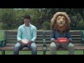 Hungry Lion HungryLikeALion South Africa