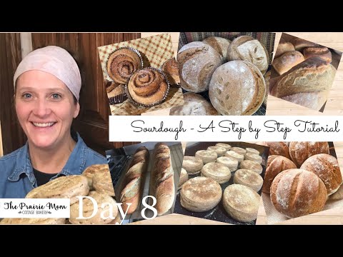 Sourdough Starter - Day 8