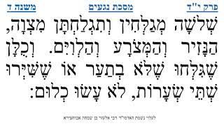 מסכת נגעים פרק י"ד משנה ד