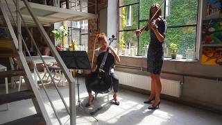 Download lagu Song from a secret garden - duet violin&cello mp3