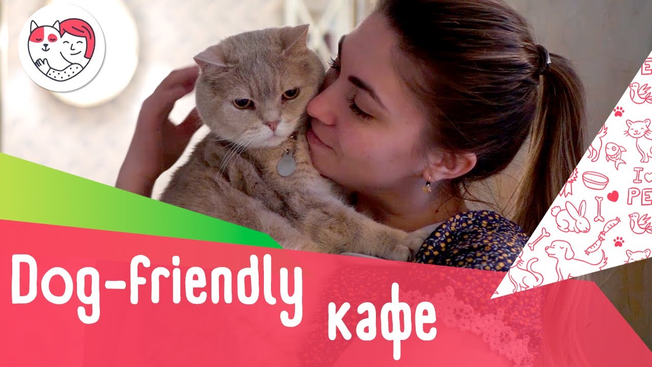 Тренд на dog-friendly кафе в Москве