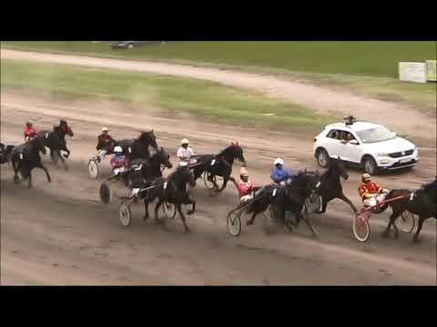 KK BAČKA SUBOTICA 19.05.2019.TRKA ZA GRLA SA ZARADOM DO 800 EUR