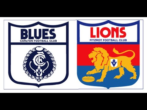 Carlton v Fitzroy - VFL Round 9, 1987