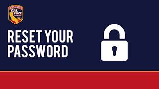 How to Reset Your Portal Password | SFT User Portal