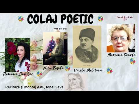 Colaj Poetic.Poezii de: Ramona Bumbac,Nicu Fasola,Mariana Scurtu, Vasile Militaru.recita:Ionel Sava