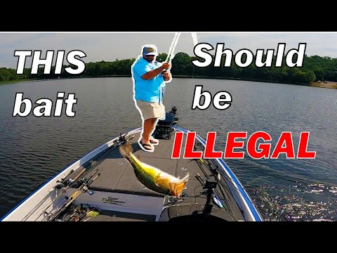 The Bass Fishing Study That Changed My Fishing Ways...