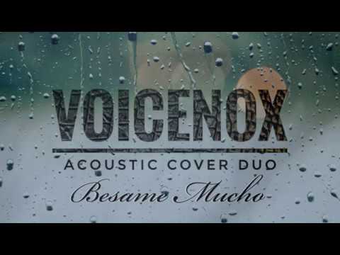 Besame Mucho (cover by VOICENOX)