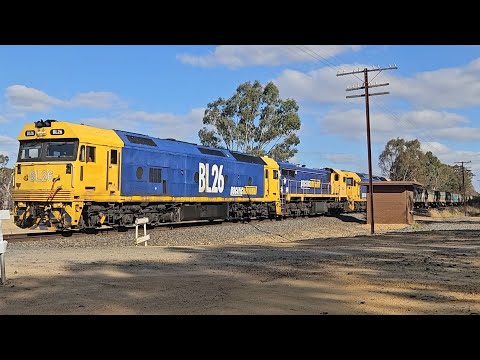 7731V PN empty grain (BL26, X48, G525), Geelong to Dimboola, 1803, 23/12/24, Great Western VIC