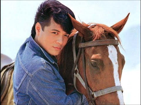 漫行手记7，故乡，他乡