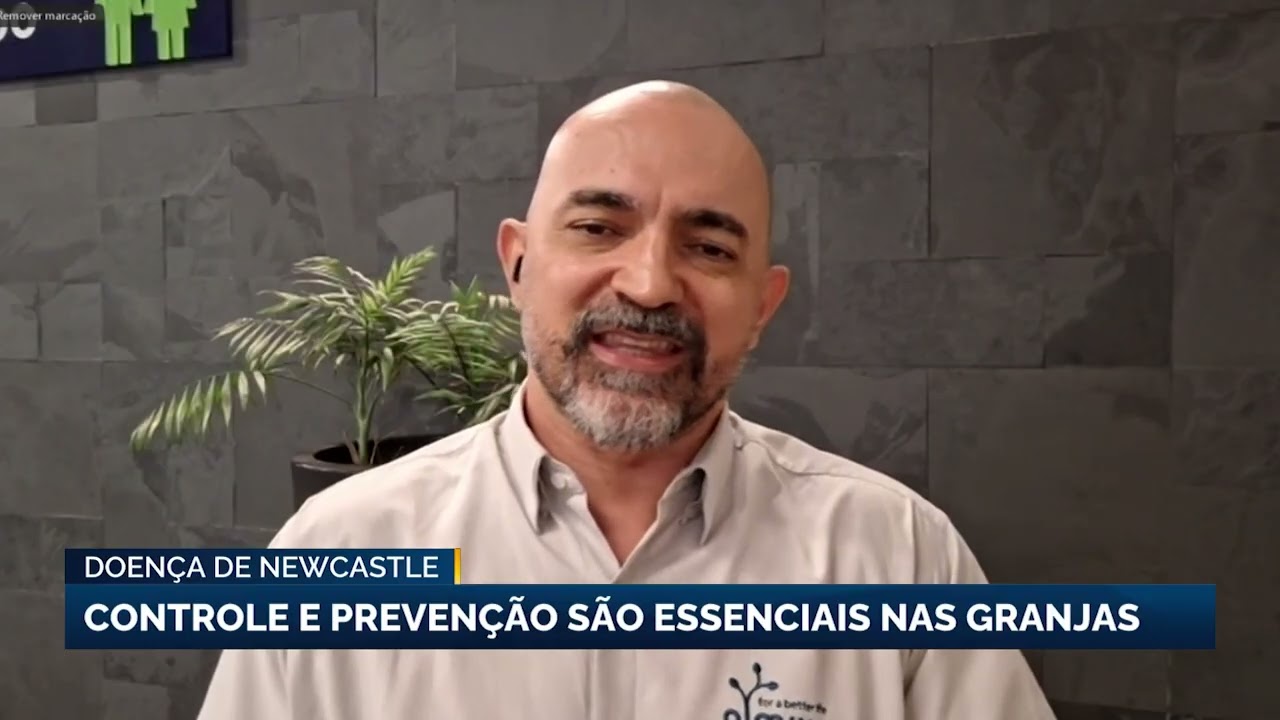 ENTREVISTA | Controle e prevenção essenciais nas granjas para prevenir Newcastle