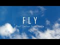 Paul Taylor Fly Feat Dora