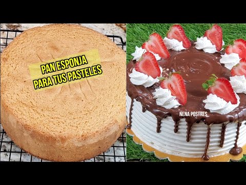 Sponge Bread 🍞 ONLY 4 INGREDIENTS for your 3 milk cakes 🎂