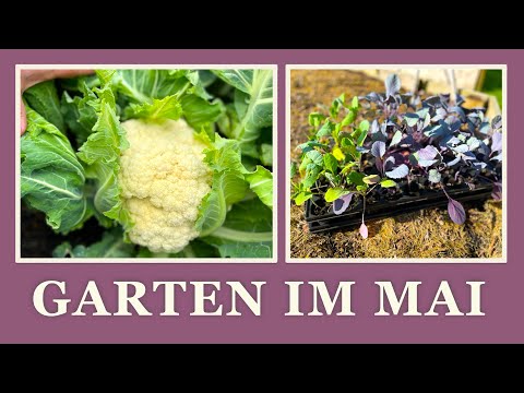 #37 Der Garten im Mai🥕🥦 Was gibt es zu tun vor und nach den Eisheiligen im Selbstversorger Garten?