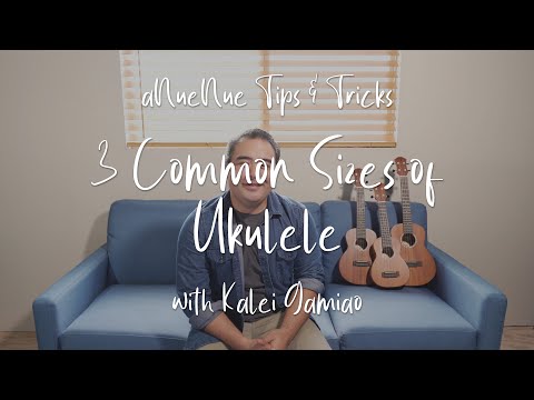 [aNueNue Tips & Tricks] 3 Common Sizes of the Ukulele (Hawaiian Dream Series S3 / C3 / T3 Ukuleles)