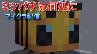 マイクラ配信