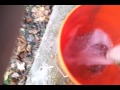 How To Fill A Bucket