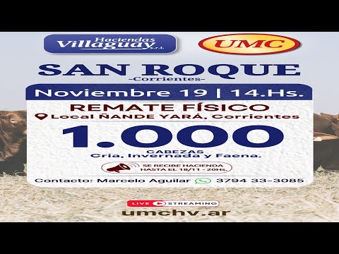 REMATE DE HACIENDAS DESDE SAN ROQUE CORRIENTES, 1000 CABEZAS