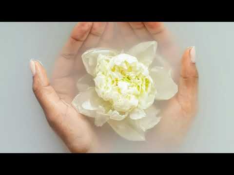 Life in office - balance is the key