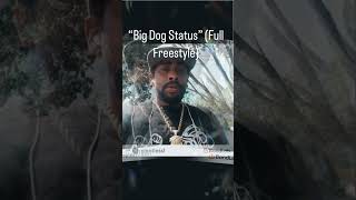 Scarface “Big Dog Status” (instrumental)