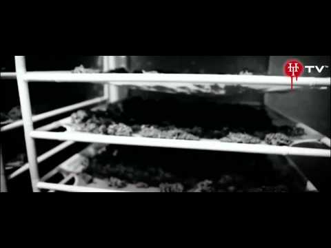 Don Fuego & Shakal - De Shit