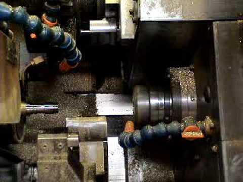 download foraminifera von mauritius