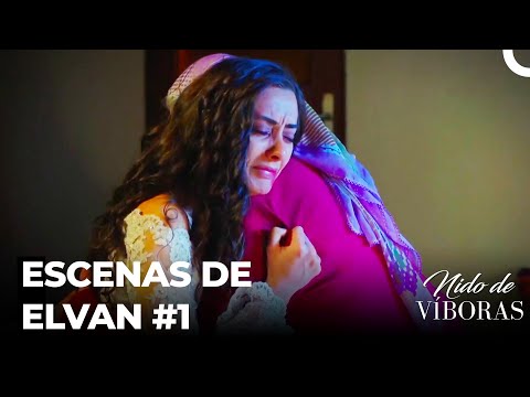Escenas De Elvan #1 - Nido De Víboras