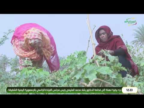 الحصاد الزراعي في ولاية لعصابة تقرير لبرنامج ويكند الموريتانية