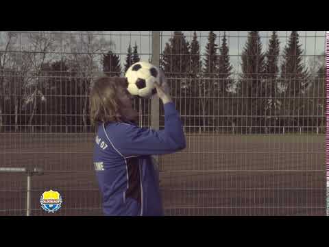 Seehunde inne Kreisklasse