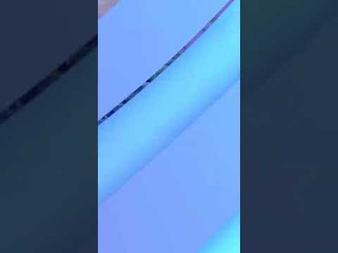 冬の高さでシジュウカラの巣箱をどこに置くか マルコMの設置方法