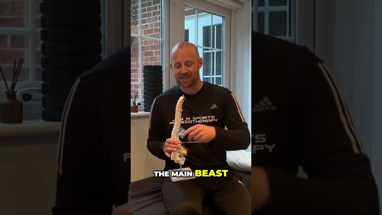 Unlocking Back Pain: The Quadratus Lumborum Explained!