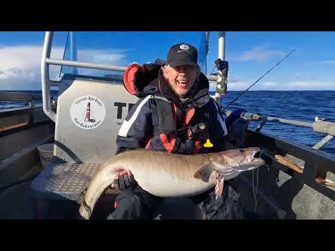 Big Five Norway Cup - Der Film - Froya Titran - Dorsch - Köhler - Leng - Heilbutt - Pollack